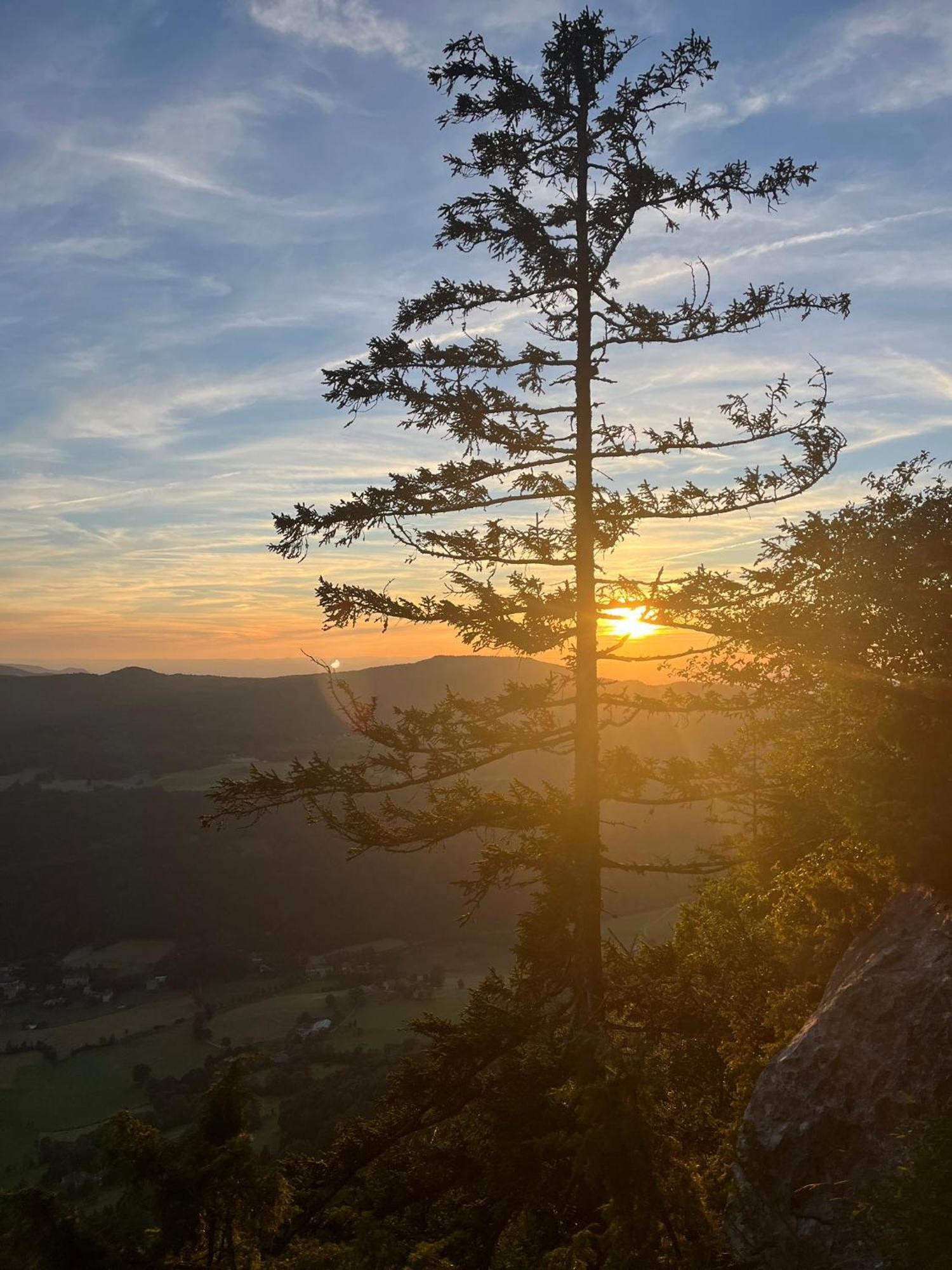 Gite La Morandiere Saint-Martin-en-Vercors Kültér fotó