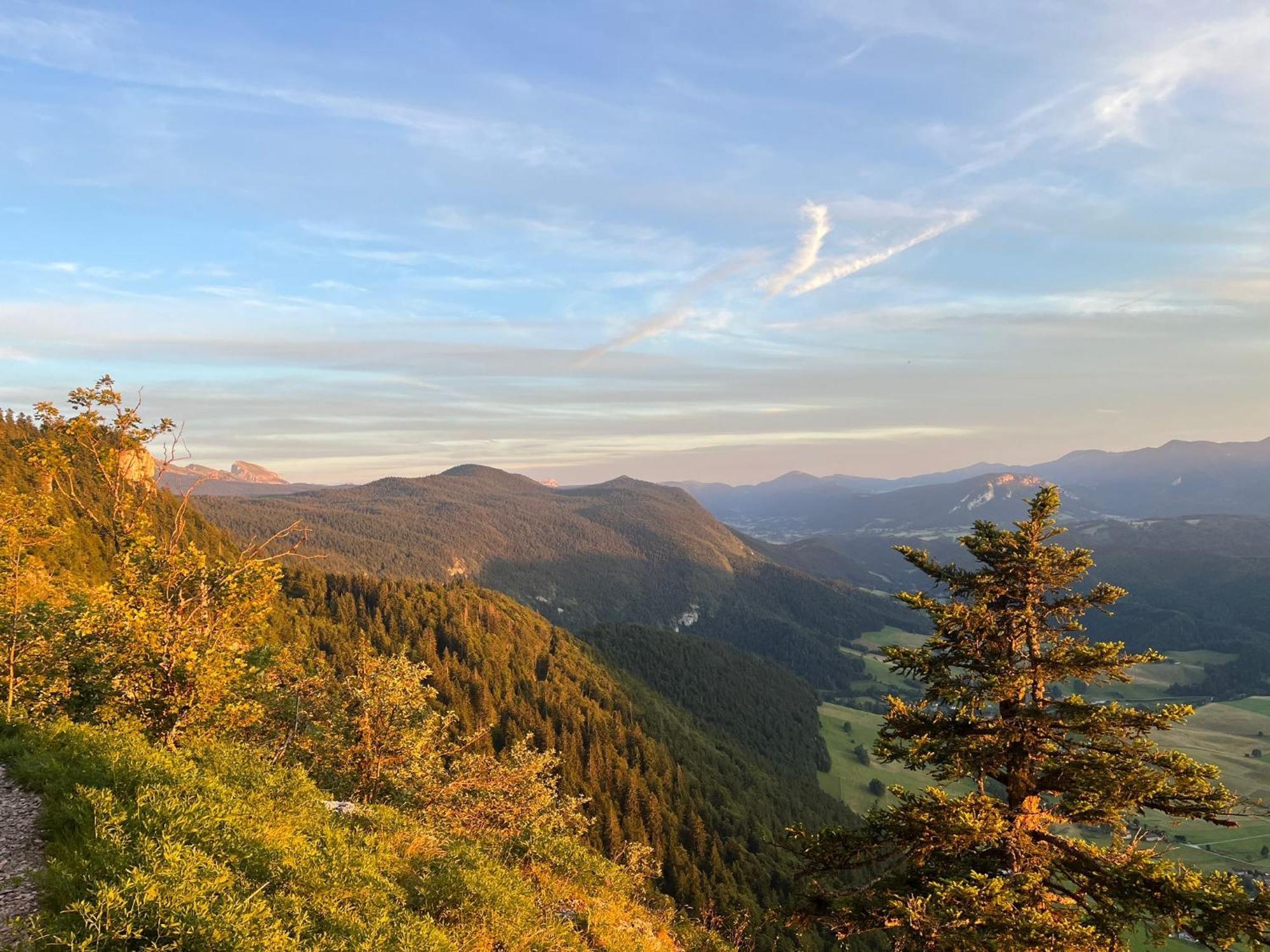 Gite La Morandiere Saint-Martin-en-Vercors Kültér fotó